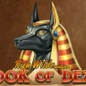 Book of Dead slot by Play'n GO